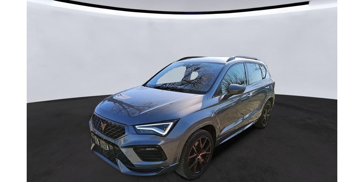 Cupra Ateca 74.113 km 29.175 &euro; Hagen 58091