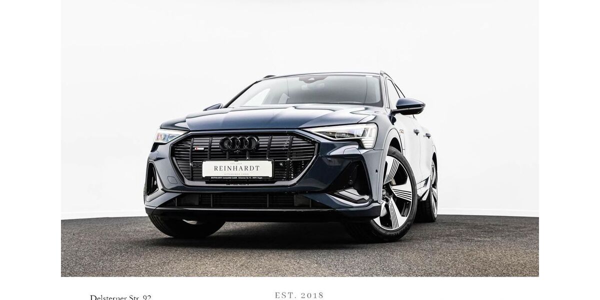 Audi e-tron 51.428 km 34.240 &euro; Hagen 58091