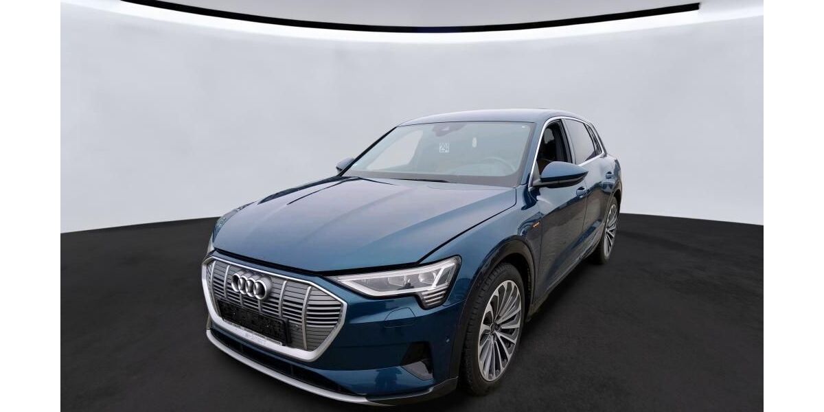 Audi e-tron 74.012 km 29.925 &euro; Hagen 58091