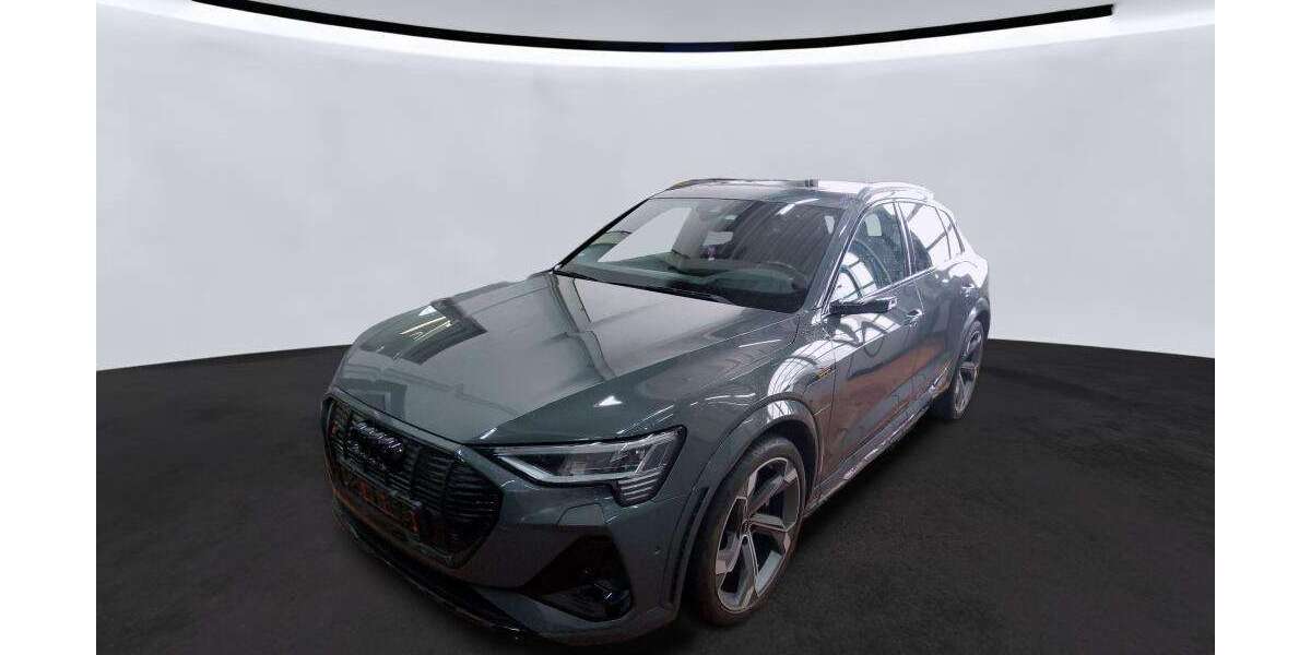 Audi e-tron 24.404 km 45.530 &euro; Hagen 58091
