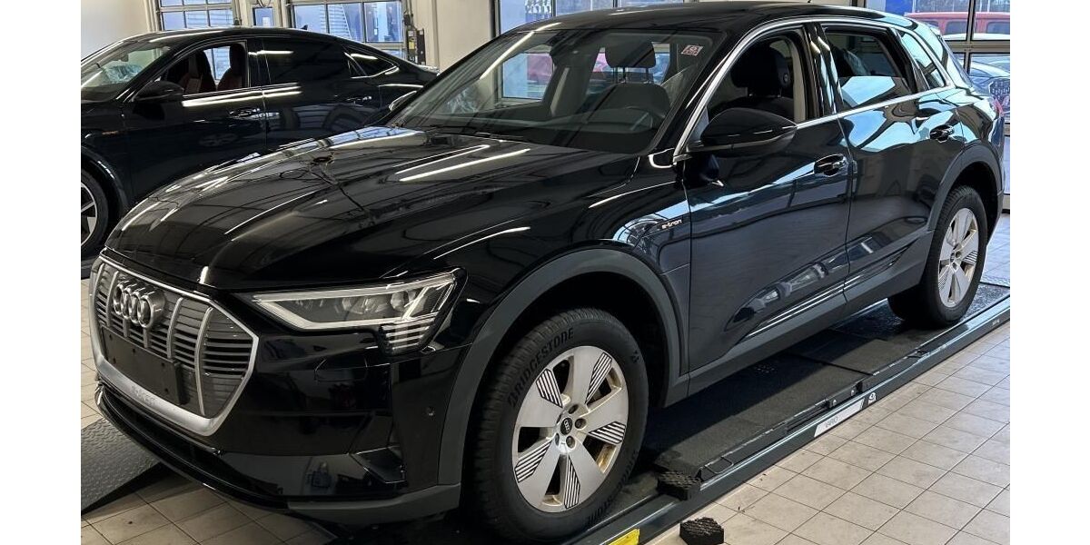 Audi e-tron 54.252 km 25.835 &euro; Hagen 58091