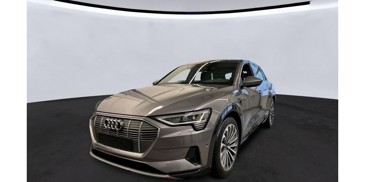 Audi e-tron 83.781 km 31.850 &euro; Hagen 58091
