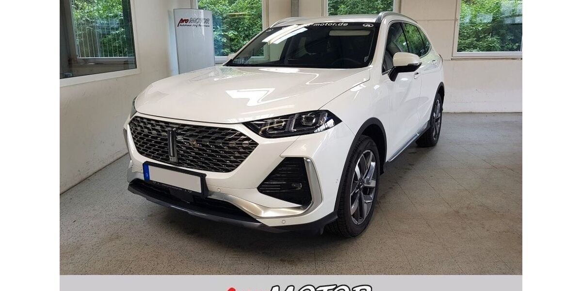 GWM Wey 03 18.950 km 41.111 &euro; Hagen 58135