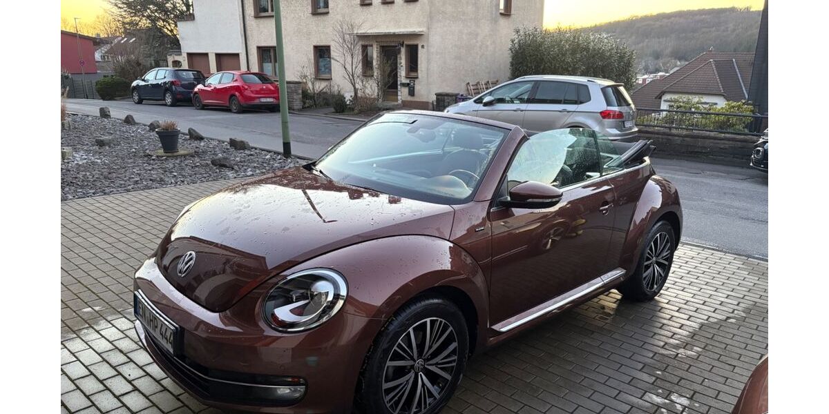 VW Beetle 38.000 km 17.491 &euro; Ennepetal 58256