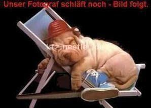 VW Tiguan 31.200 km 49.500 &euro; Essen 45134