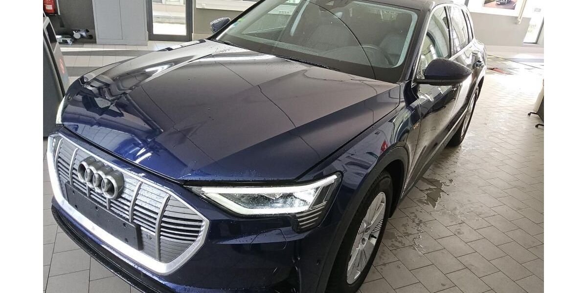 Audi e-tron 38.891 km 37.225 &euro; Hagen 58091