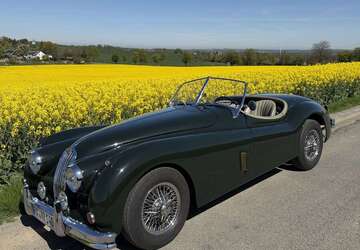 Jaguar XK 4.800 km 99.900 &euro; Hagen 58093