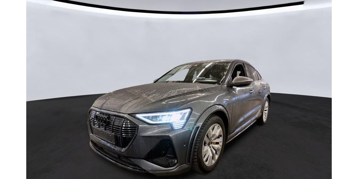 Audi e-tron 67.282 km 42.765 &euro; Hagen 58091