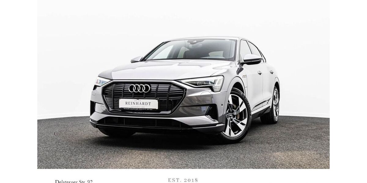 Audi e-tron 78.740 km 33.500 &euro; Hagen 58091