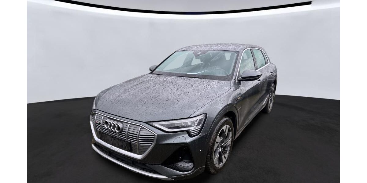 Audi e-tron 74.860 km 33.749 &euro; Hagen 58091