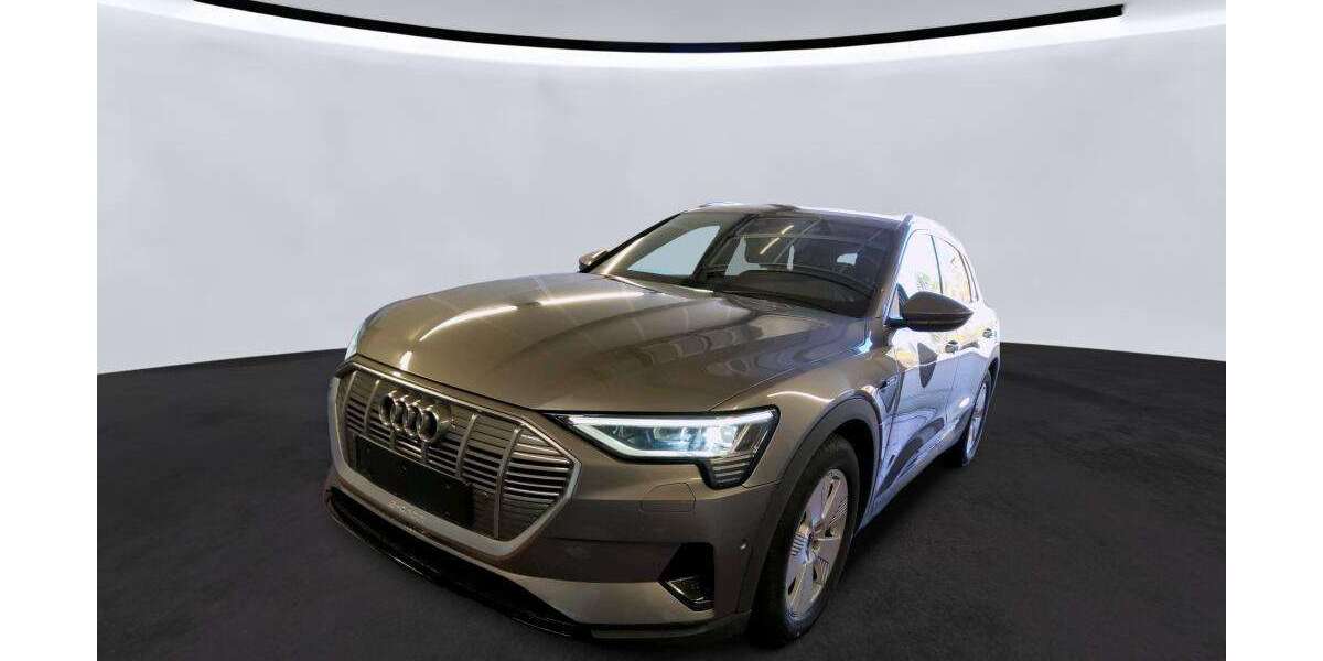 Audi e-tron 29.969 km 27.650 &euro; Hagen 58091