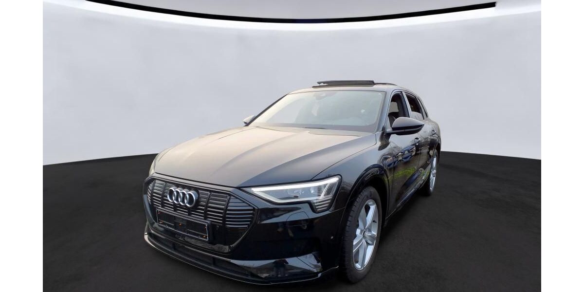 Audi e-tron 26.650 km 29.945 &euro; Hagen 58091