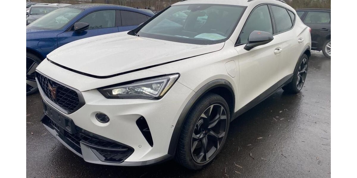 Cupra Formentor 24.663 km 27.625 &euro; Hagen 58091