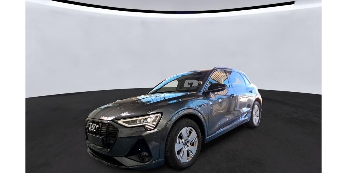 Audi e-tron 49.985 km 36.935 &euro; Hagen 58091