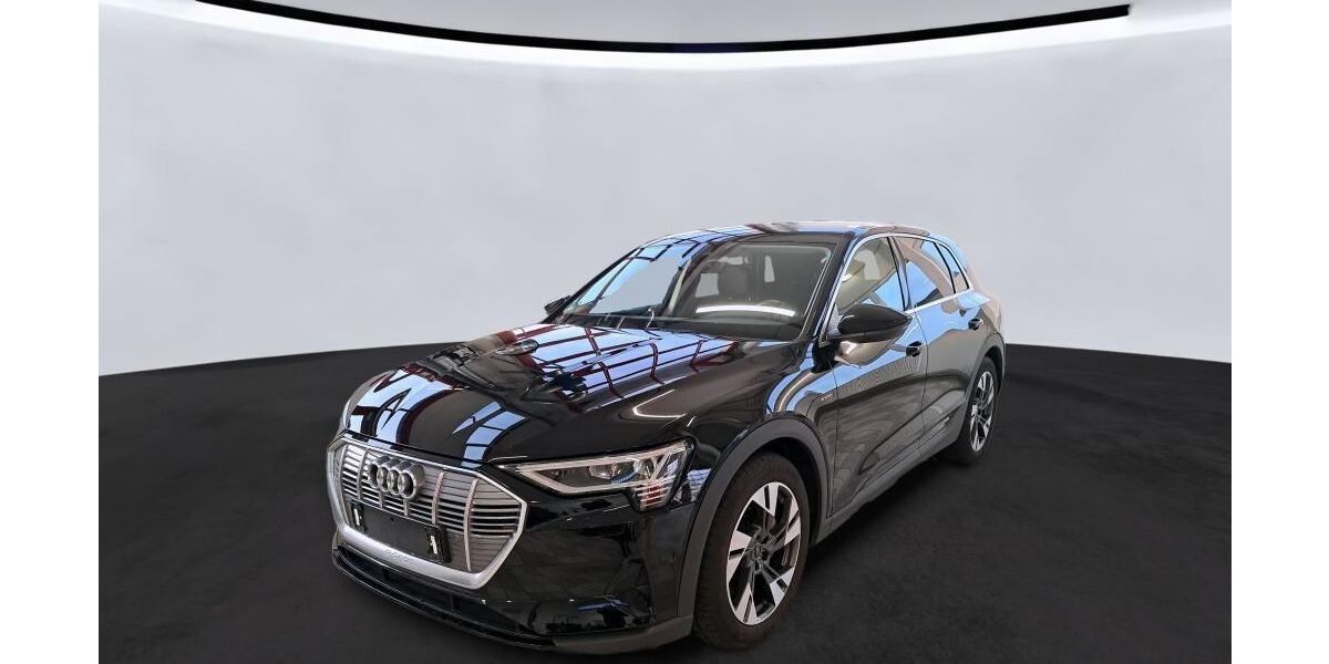 Audi e-tron 41.948 km 26.450 &euro; Hagen 58091